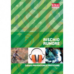 Manuale Rischio rumore